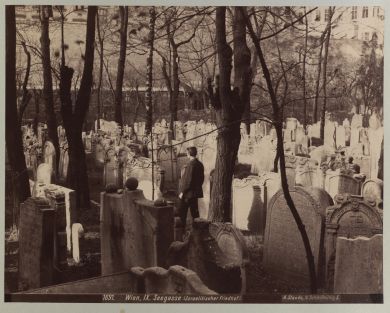 Historisches Foto Friedhof Roßau