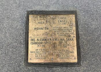 Steine der Erinnerung Türkenstraße Wien (Foto: Wikimedia Commons)