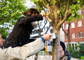 Klimateam Alsergrund: Sieben Projekte fürs Grätzl — und was an der Bleichergasse-Debatte dran ist